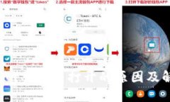  TP钱包网页无法打开的原因及解决方案