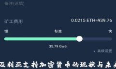 阿尔及利亚支持加密货币的现状与未来展望