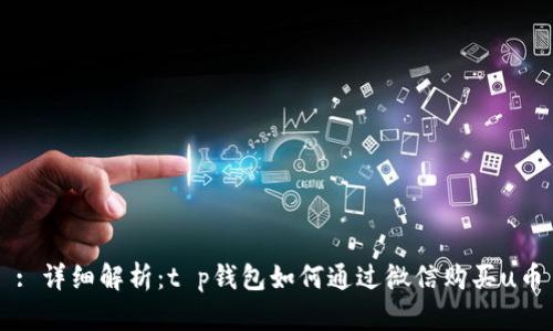 : 详细解析：t p钱包如何通过微信购买u币