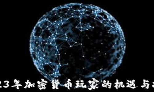 
2023年加密货币玩家的机遇与挑战