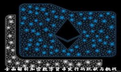 全面解析加密数字货币发行的现状与挑战