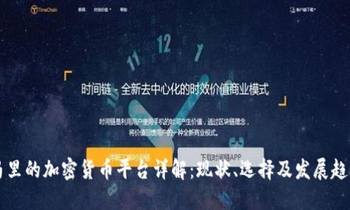 马里的加密货币平台详解：现状、选择及发展趋势